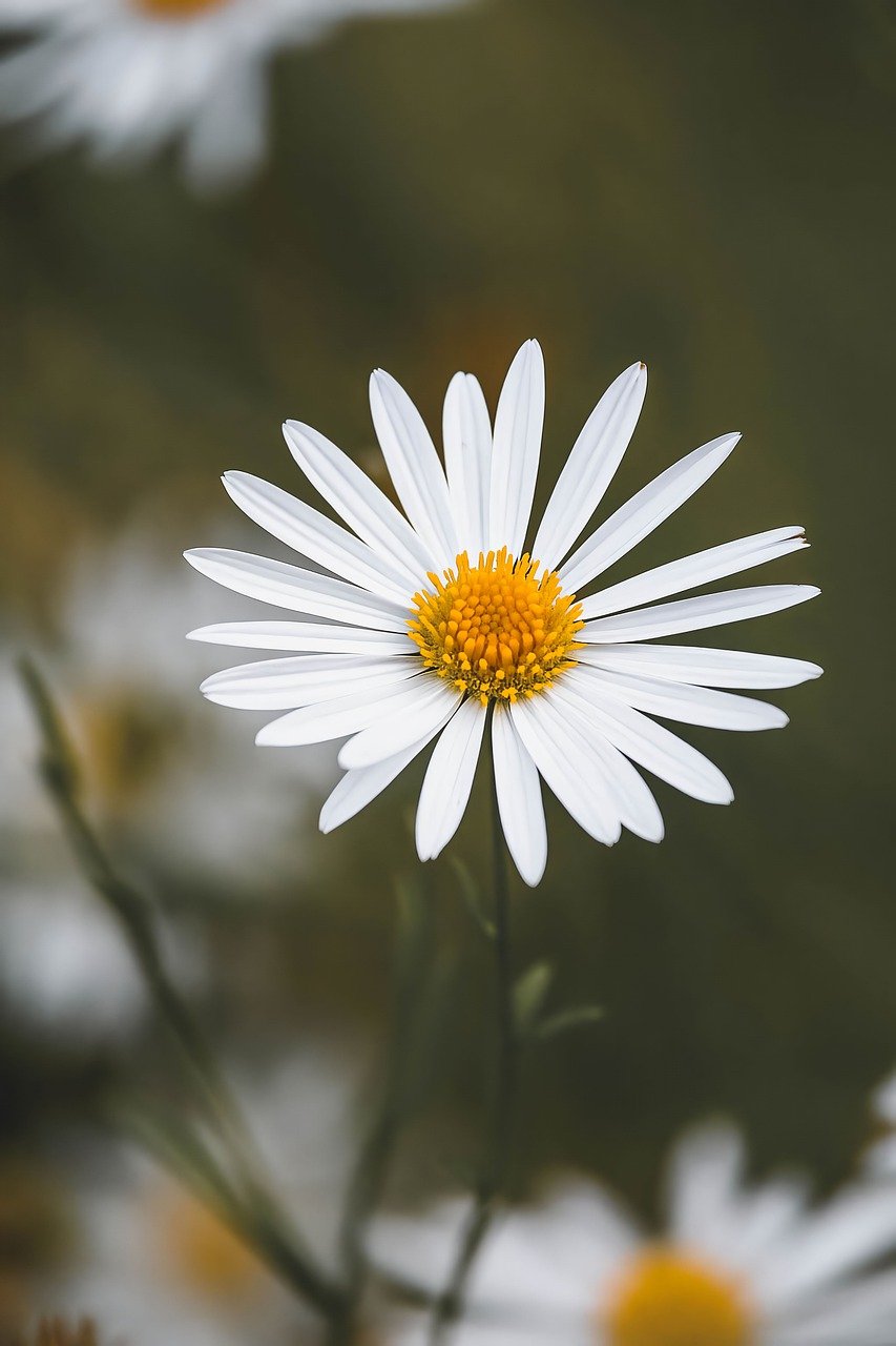 How to Secure Your Data While Using Public Hotspots - Lacatang Shop