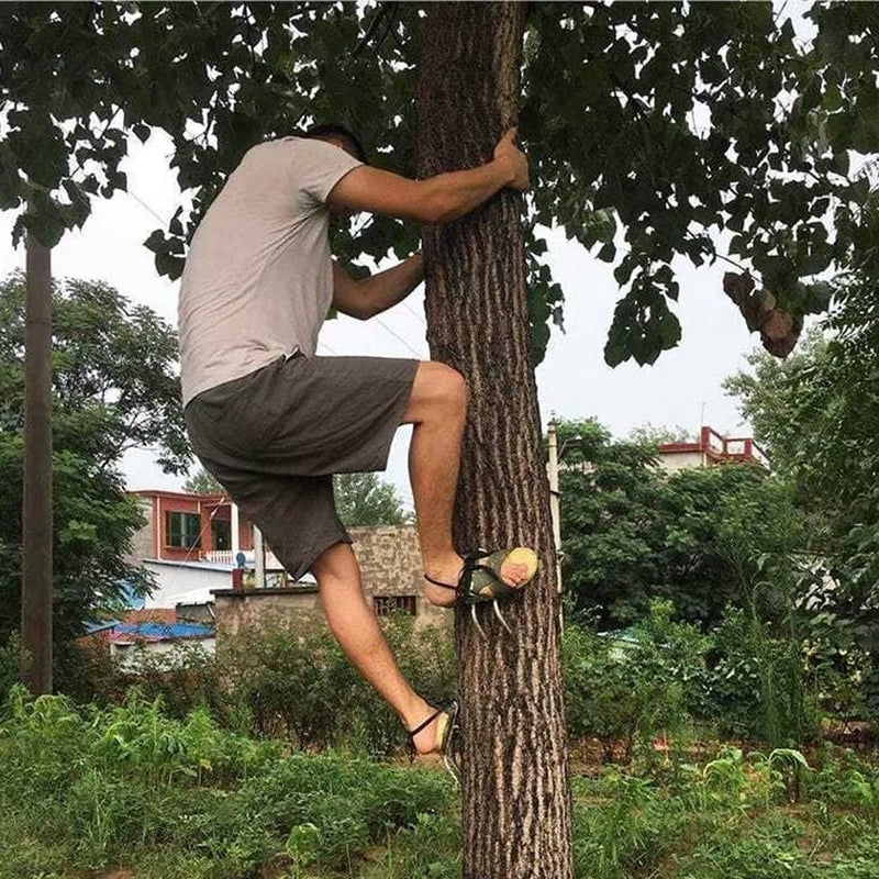 Tree Climbing Tool Pole Climbing Spikes for Hunting Shoes Tree Steel Climbing Simple Picking Observation Fruit Tool Accessories