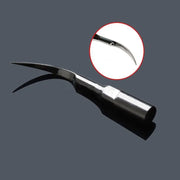 HTB1eTr9adfvK1RjSspoq6zfNpXa1