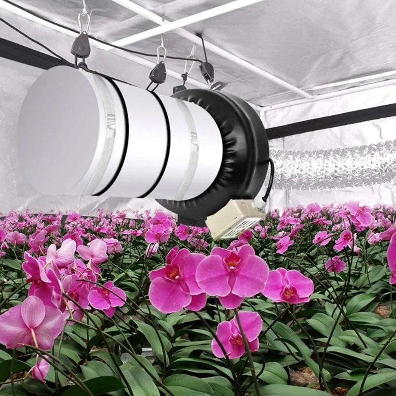 Hee6fdee24c3e49d8a86cf2b53c6e1081s