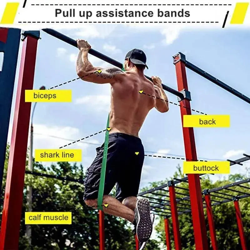 Latex Stretch Resistance Band Expander Elastic Bands For Sport Pull Up 

Enhance Your Workout with Latex Stretch Resistance Bands - Perfect for Pull Ups and Sports! Other AliExpress Lacatang Shop 
