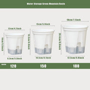 Elegant Self - Watering Resin Flower Pots for Succulents and Hydroponics - Modern Design for Indoor & Outdoor Use - Lacatang Shop