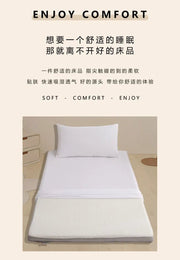 Fully Enclosed Dust - Proof Mattress Cover - Removable & Washable - Lacatang Shop