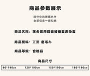 Fully Enclosed Dust - Proof Mattress Cover - Removable & Washable - Lacatang Shop