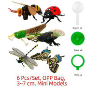 Kids Waterproof Playmat - Portable Dinosaur and Farm Road Activity Carpet for Toddlers, Non - Toxic Educational Crawling Mat - Lacatang Shop