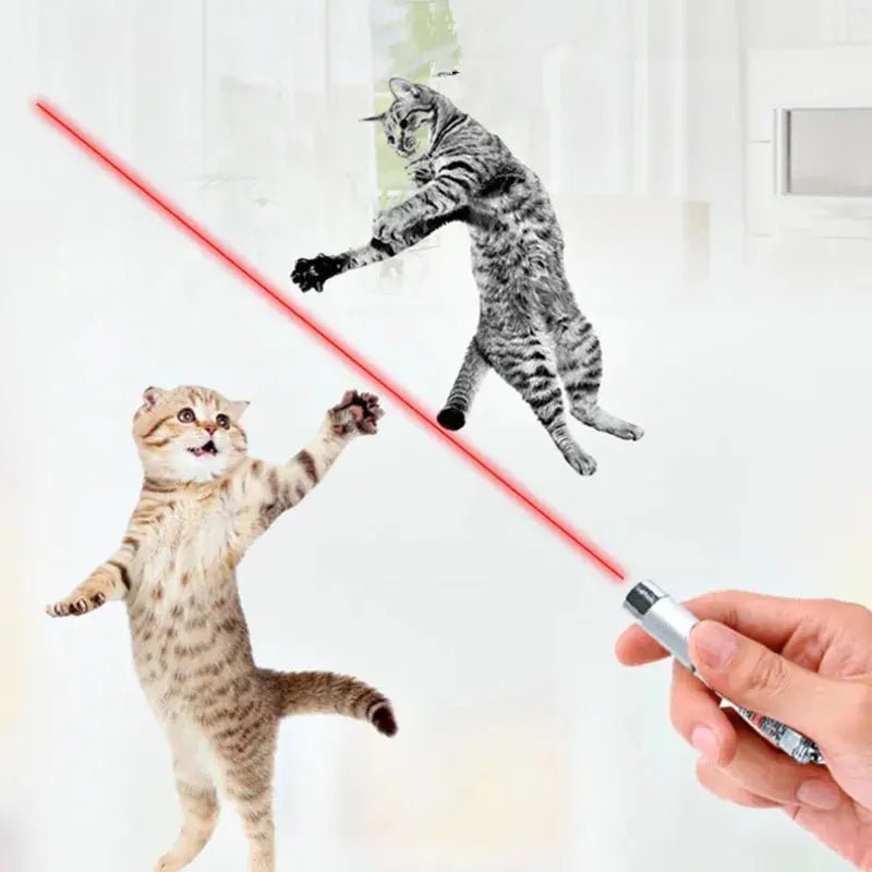 Laser funny cat stick New Cool 2 In1 Red Laser Pointer Pen With White LED Light Childrens Play Cat Toy - Lacatang Shop