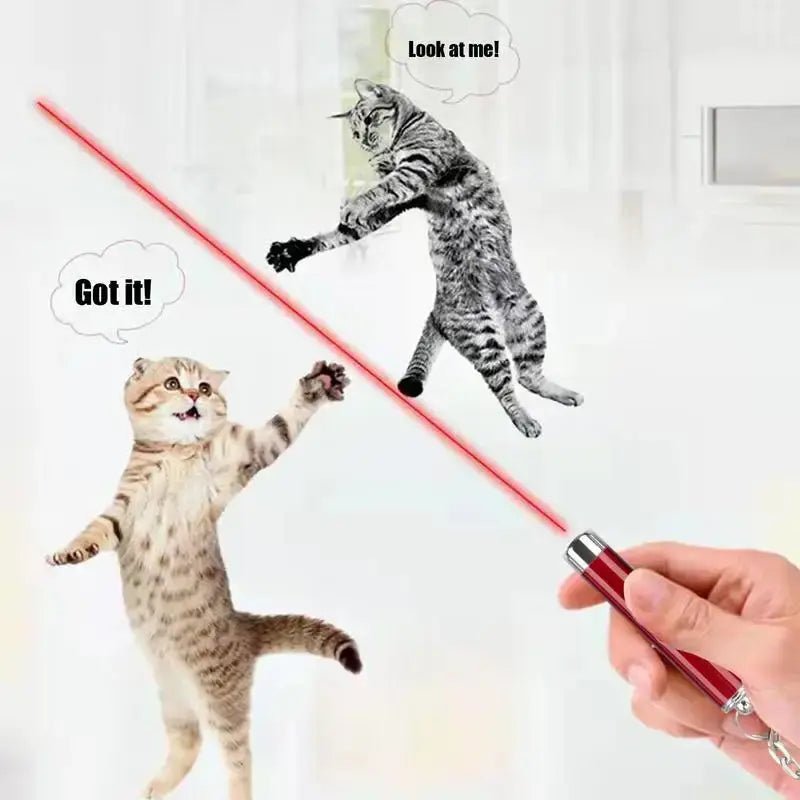 Laser Pointer For Cats Interactive Cat Laser Toy Pet Enrichment Toys For Indoor Cat To Play And Exercise - Lacatang Shop