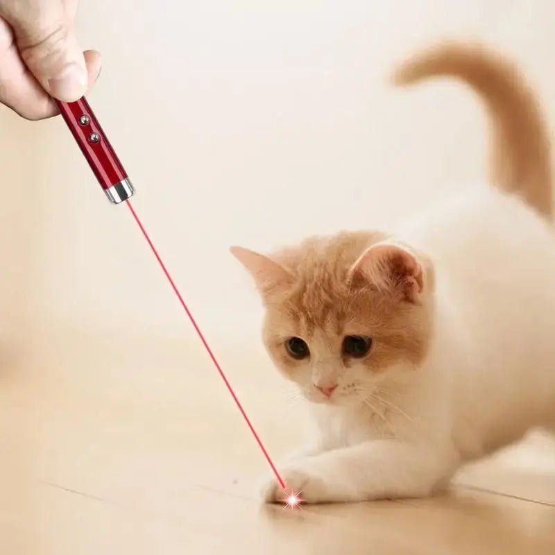 Laser Pointer For Cats Interactive Cat Laser Toy Pet Enrichment Toys For Indoor Cat To Play And Exercise - Lacatang Shop