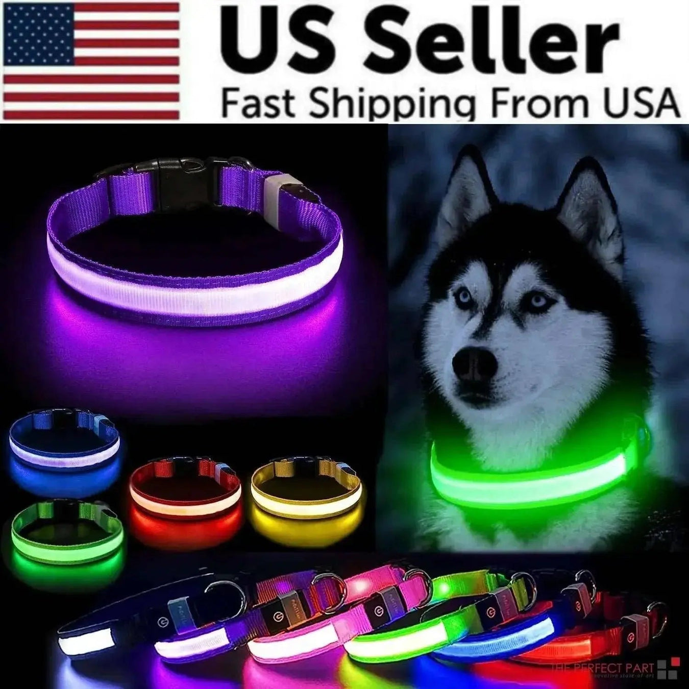 Led Dog Collar
