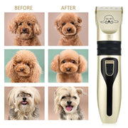Pet Hair Clipper Set - Professional Dog Trimmer - Lacatang Shop