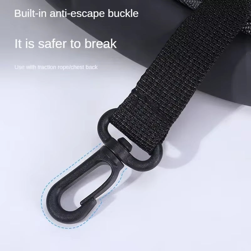 Portable Mesh Pet Backpack for Cats and Dogs - Lacatang Shop