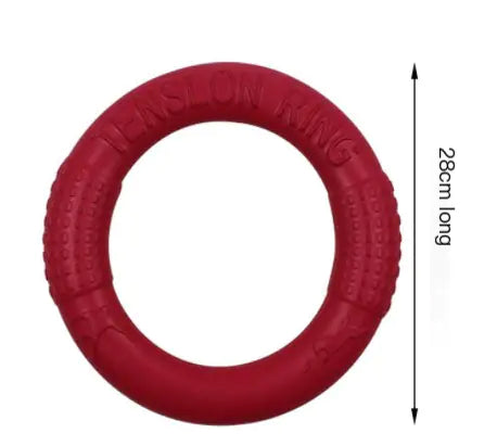 Interactive EVA Training Ring