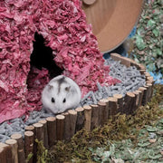 Small Pet Training Wooden Toys Hamster Wooden Ladder Fence 2 in 1 Bird Ladder Chinchilla Natural Landscaping Supplies - Lacatang Shop