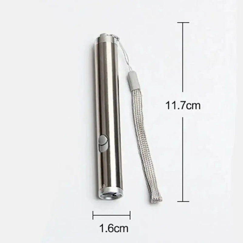 Tool Cats Interactive 2 In 1 Pet Training Tools Cat Play Toys Chaser Toys LED Light Pointer - Lacatang Shop